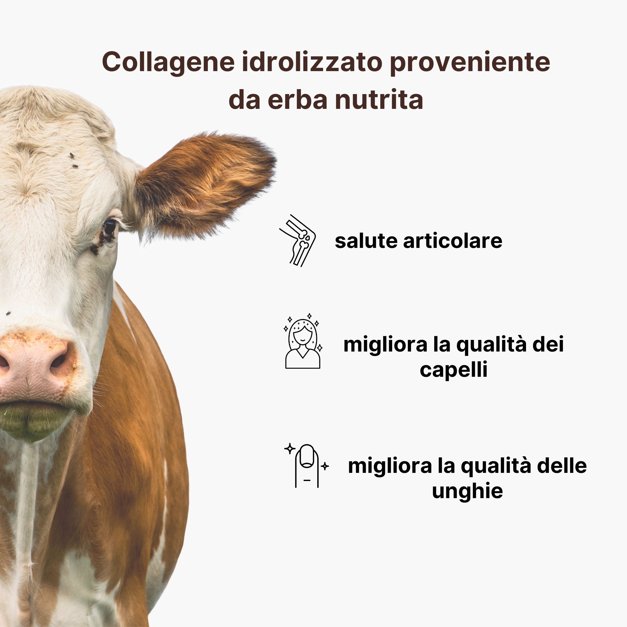 (Italština) (2)_1